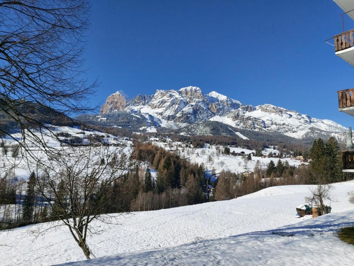 Appartamento Stella Alpina Cortina dʼAmpezzo Exteriör bild