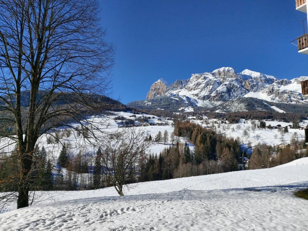 Appartamento Stella Alpina Cortina dʼAmpezzo Exteriör bild